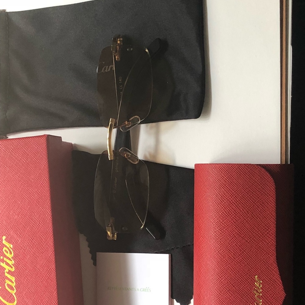 Cartier White Buffalo Horn Sunglasses